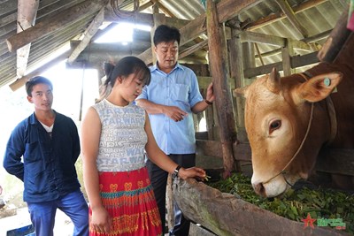 View - 	Đồng bào Mông Cán Chu Phìn bình yên, ấm no nhờ có Đảng